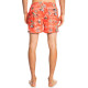 Quiksilver Ανδρικό μαγιό Everyday Scenic 15" - Swim Shorts for Men